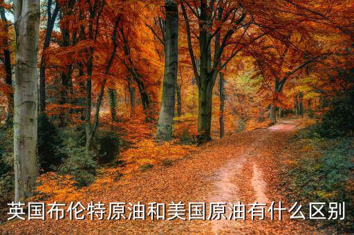 布油與美國(guó)原油有什么不同，英國(guó)布倫特原油和美國(guó)原油有什么區(qū)別