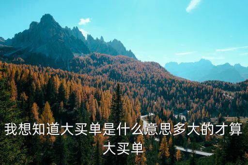 什么是超大買(mǎi)單，下跌過(guò)程中出現(xiàn)超大買(mǎi)單什么意思