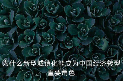 為什么新型城鎮(zhèn)化能成為中國經(jīng)濟轉型重要角色
