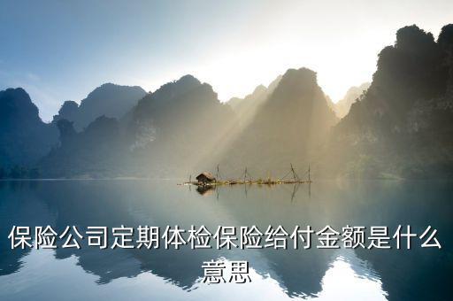 保險中的給付金是什么意思，保險金給付額 是什么意思