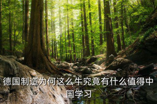 德國(guó)制造學(xué)什么，請(qǐng)問(wèn)知情的盆友們?nèi)サ聡?guó)留學(xué)材料加工類鑄造焊接模具