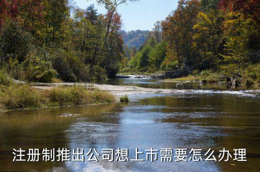 注冊(cè)制上市要什么條件，注冊(cè)制推出公司想上市需要怎么辦理