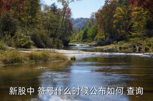 怎么查詢中簽號,新股簽號什么時候公布?可進(jìn)股票交易軟件查詢