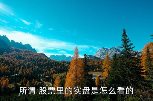 所謂 股票里的實(shí)盤(pán)是怎么看的