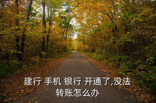  建行 手機(jī) 銀行 開通了,沒法 轉(zhuǎn)賬怎么辦