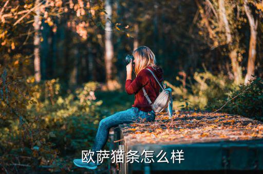 上海歐薩怎么樣,意大利進(jìn)口貓糧營(yíng)養(yǎng)均衡貓咪超愛(ài)吃