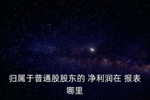 歸屬于普通股股東的 凈利潤在 報(bào)表哪里
