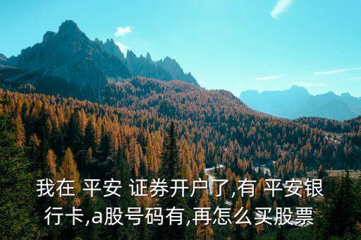 我在 平安 證券開(kāi)戶了,有 平安銀行卡,a股號(hào)碼有,再怎么買股票