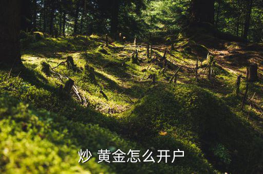 炒黃金公司怎么上班的,投機(jī)黃金是一種很常見的理財選擇