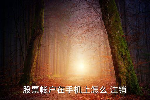 怎么注銷同花順手機號,怎么綁定同花順賬號?可以這樣做!