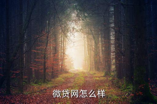 聯(lián)金微貸怎么樣,趙聯(lián)金榮網貸平臺怎么樣?