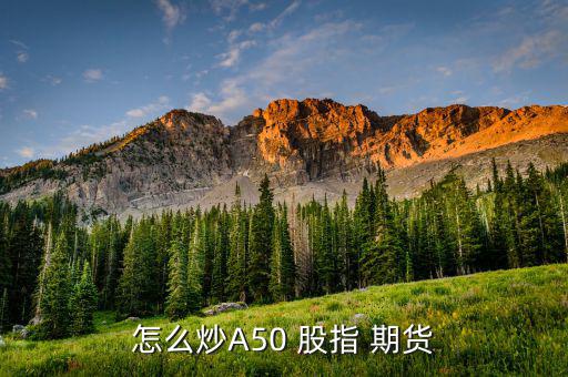 個(gè)人怎么做股指期貨,股指期貨開(kāi)戶須滿足什么條件?