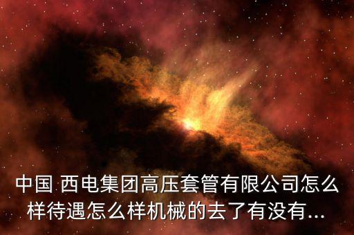 中國(guó) 西電集團(tuán)高壓套管有限公司怎么樣待遇怎么樣機(jī)械的去了有沒有...