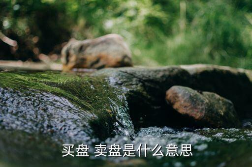  買盤 賣盤是什么意思