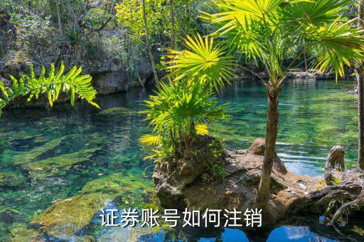 證券賬號(hào)如何注銷