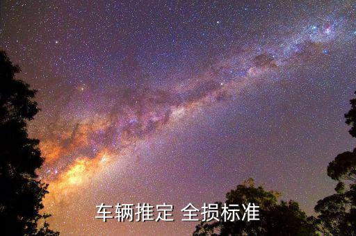 車輛推定 全損標(biāo)準