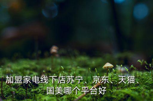 加盟家電線下店蘇寧、京東、天貓、 國(guó)美哪個(gè)平臺(tái)好