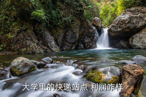 物流利潤怎么樣,大學(xué)里的快遞站點利潤還是比較印象深刻的