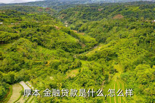 厚本金融公司怎么樣,車貸130貸款服務也上線厚本金融!