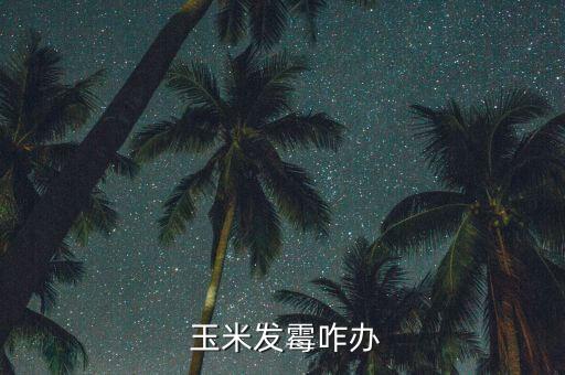 玉米有點(diǎn)霉怎么辦,因受潮變質(zhì)玉米會發(fā)酵產(chǎn)生霉菌