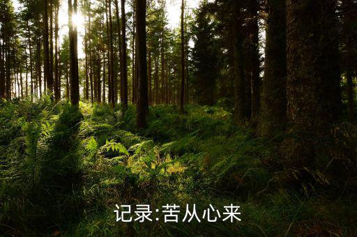 明天渝開(kāi)發(fā)怎么樣,今天開(kāi)盤不會(huì)有奇跡!