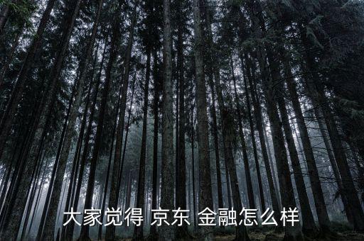 大家覺(jué)得 京東 金融怎么樣