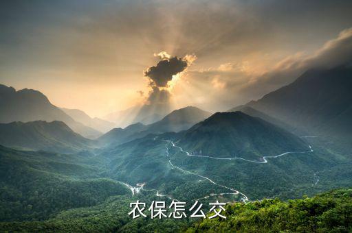 農保怎么交,新農合怎么交?可以找親戚朋友交