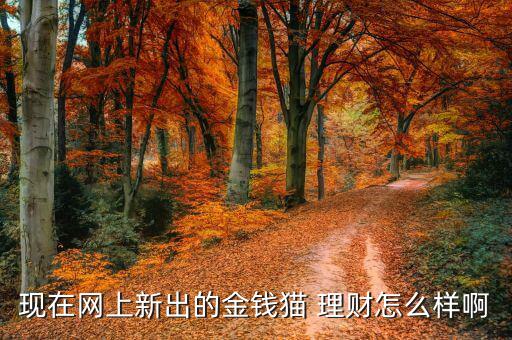 現(xiàn)在網(wǎng)上新出的金錢貓 理財怎么樣啊