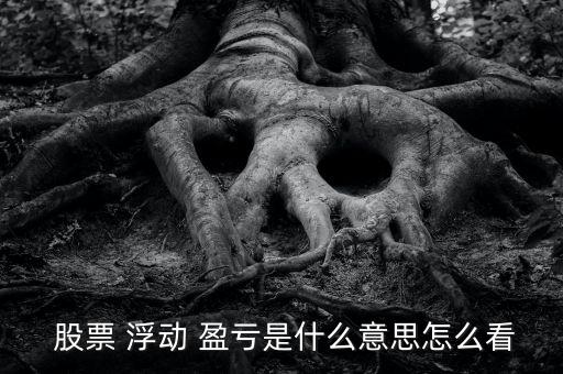 股票浮動盈虧怎么計(jì)算,股票浮動盈虧=(每日結(jié)算價(jià)-開盤價(jià))