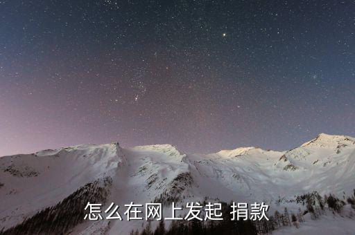 天津市手機(jī)怎么捐款,點(diǎn)擊捐款項目按鈕完成捐贈