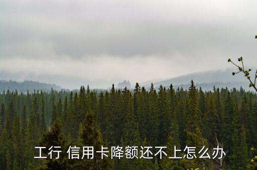 工行信用卡降低額度怎么辦,信用卡消費者應(yīng)如何還款?