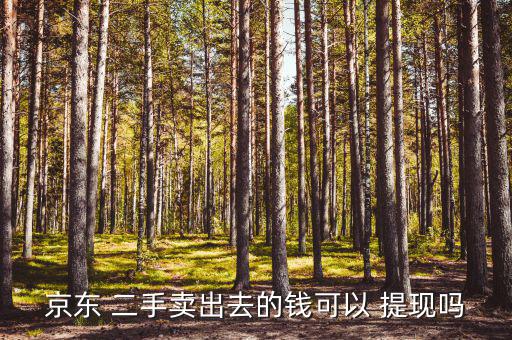京東 二手賣(mài)出去的錢(qián)可以 提現(xiàn)嗎