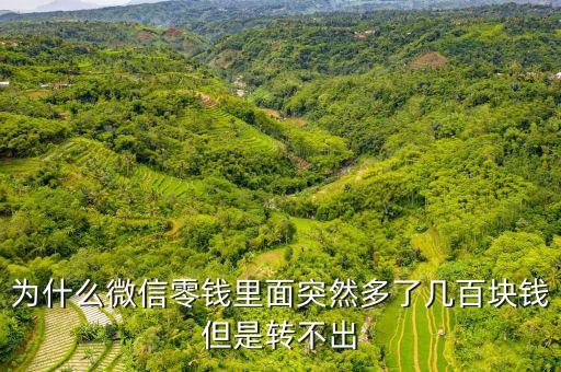 今天網(wǎng)卡上轉錢怎么少了幾塊,新加坡理財攻略