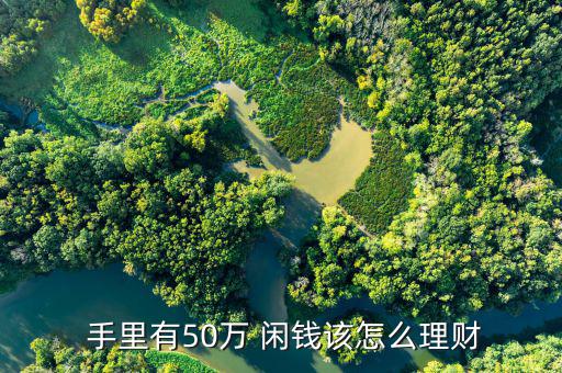  手里有50萬(wàn) 閑錢(qián)該怎么理財(cái)