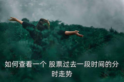 如何查看一個(gè) 股票過去一段時(shí)間的分時(shí)走勢(shì)