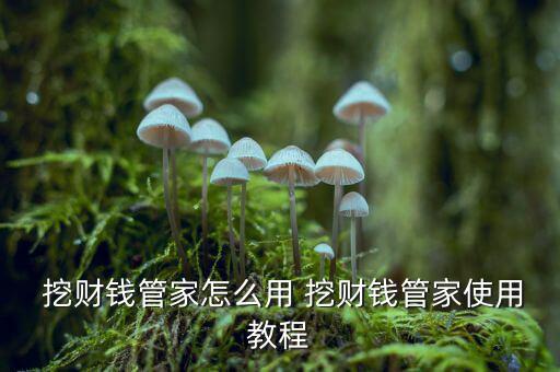 挖財(cái)怎么征信,唯一全平臺(tái)記賬理財(cái)平臺(tái)挖財(cái)錢管家下載