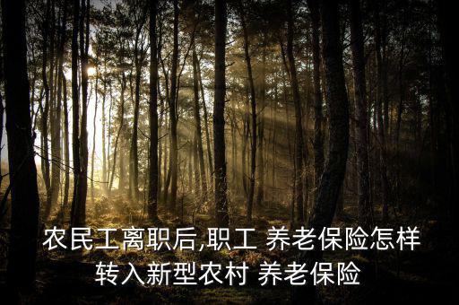  農民工離職后,職工 養(yǎng)老保險怎樣轉入新型農村 養(yǎng)老保險