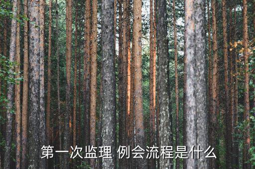 第一次例會怎么開,如何召開工作會議?會議內容有哪些?