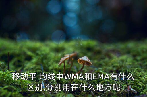 移動(dòng)平 均線(xiàn)中WMA和EMA有什么區(qū)別,分別用在什么地方呢