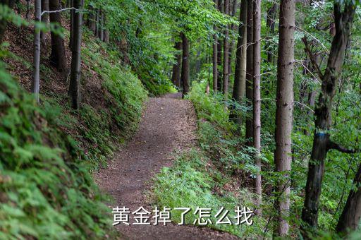 丟黃金怎么辦,黃金丟了怎么找?可用金屬探測儀檢測尋找金飾