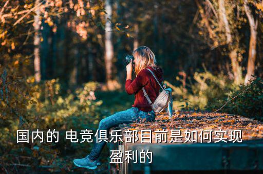 電競(jìng)公司怎么盈利,電競(jìng)?cè)藗冑嶅X(qián)時(shí)代已到來(lái)電競(jìng)充滿(mǎn)金錢(qián)誘惑