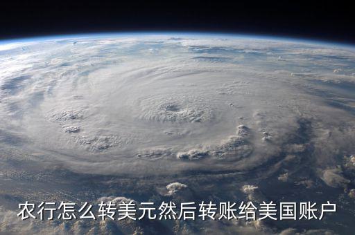 怎么在網上轉美金給國外公司,如何在中國境內外匯款?