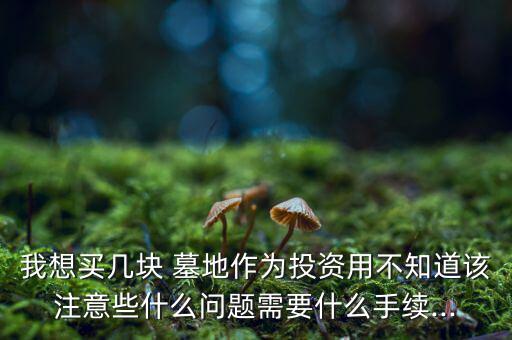 我想買(mǎi)幾塊 墓地作為投資用不知道該注意些什么問(wèn)題需要什么手續(xù)...