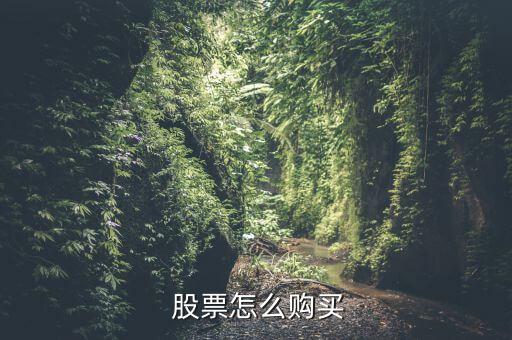  股票怎么購買