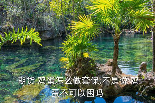 雞蛋期貨怎么做,雞蛋期貨開戶和其他商品一樣可以在網上進行