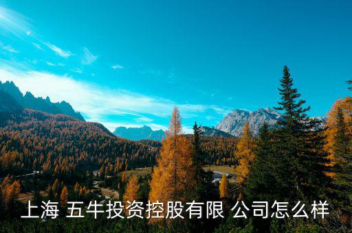 五?；鸸驹趺礃?上海五牛投資控股有限公司處于開業(yè)狀態(tài)