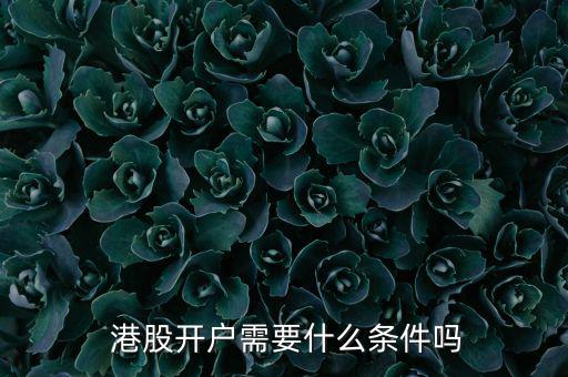 港股怎么開(kāi),香港股市開(kāi)戶(hù)條件