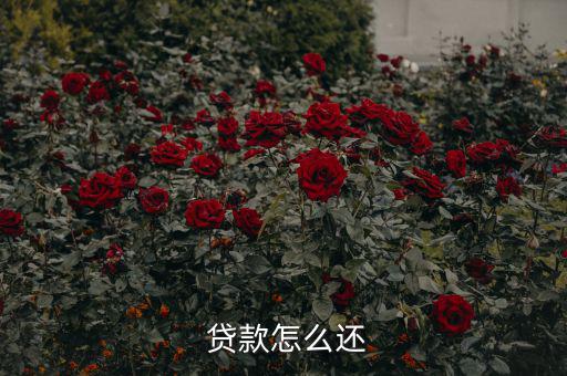貸款怎么還合適,中國(guó)銀行推出等額本息、月均本金等還款方式