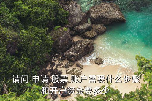 怎么申請(qǐng)股票賬戶,股票賬戶開戶流程:現(xiàn)場(chǎng)開戶和網(wǎng)上開戶