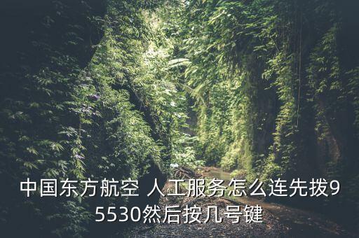 中國東方航空 人工服務怎么連先撥95530然后按幾號鍵